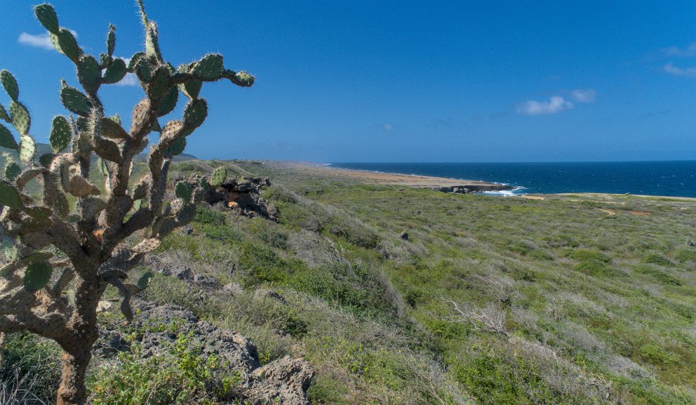 Christoffel National Park