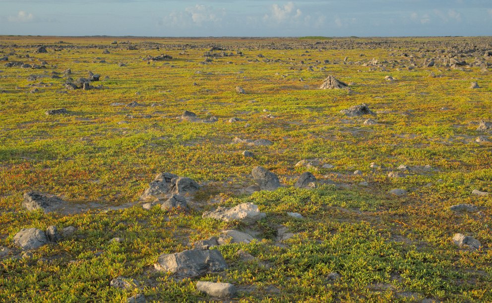 Klein Curaçao . Population: 0.