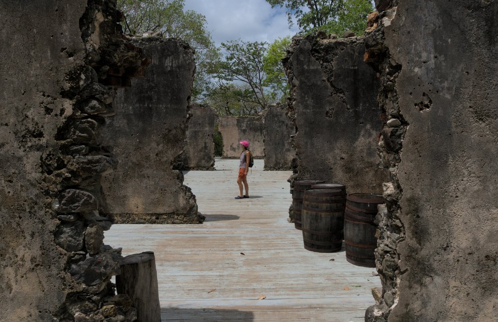 Rodney Fort ruins