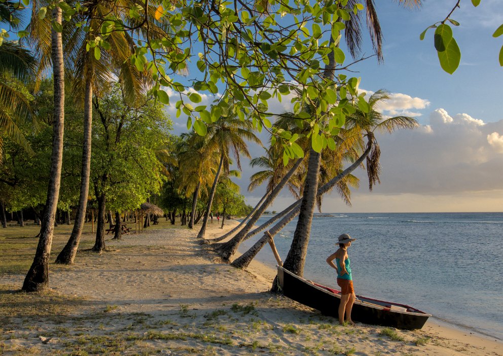 Manicured beach