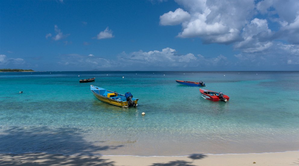 Local boats