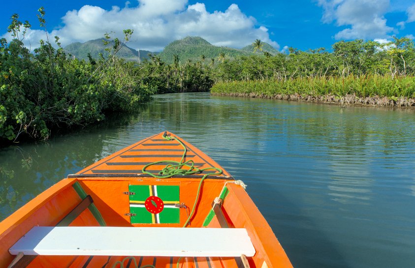 Indian River, Dominica