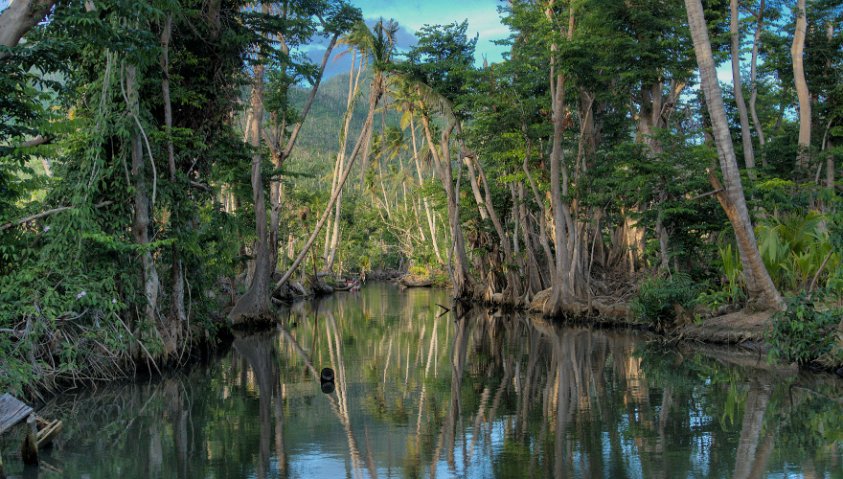 Indian River, Dominica