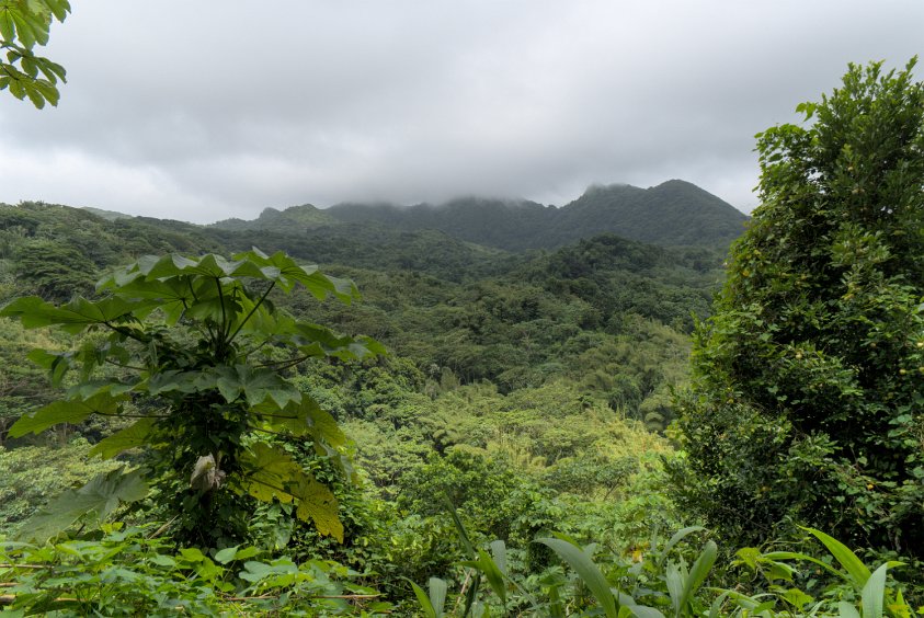 Grenada