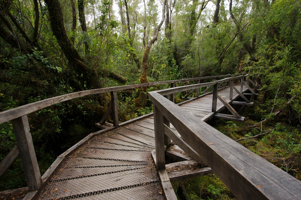 Parque Nacional Chiloé