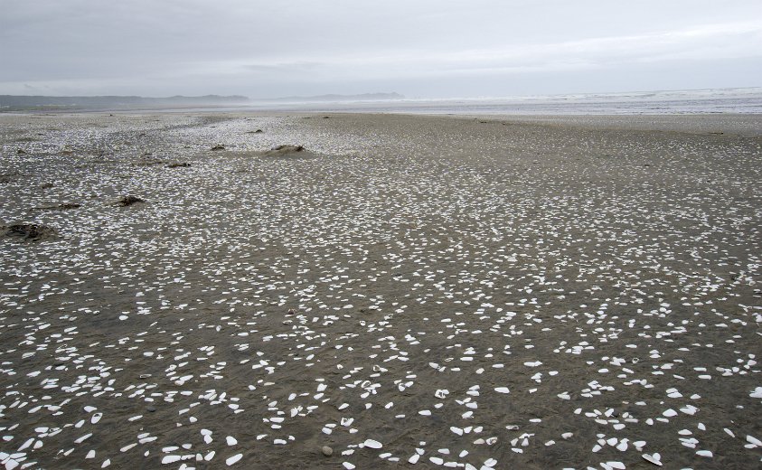 Playa Cucao