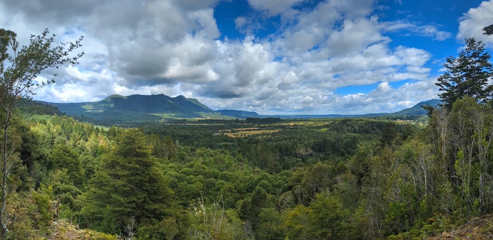 Parque Nacional Alerce Andino