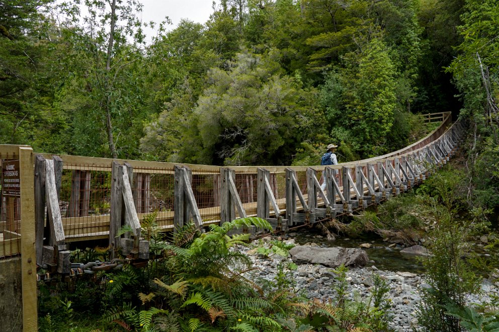 Parque Nacional Alerce Andino