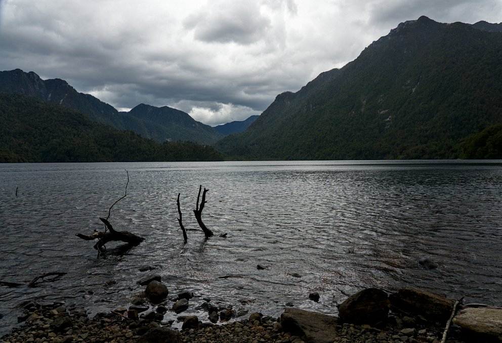 Parque Nacional Alerce Andino