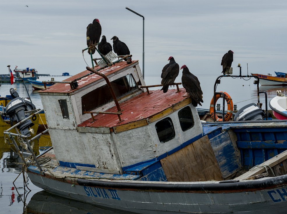 Caleta El Manzano