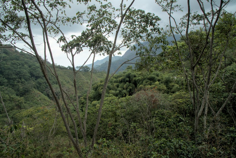 Sierra Nevada de Santa Marta