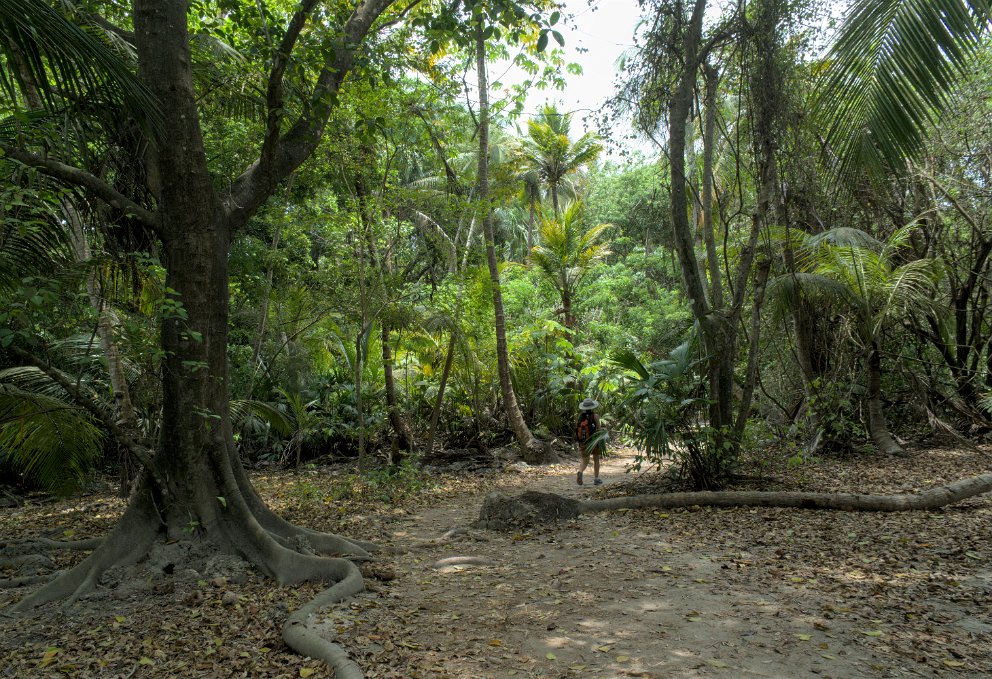 Parque Nacional Tayrona