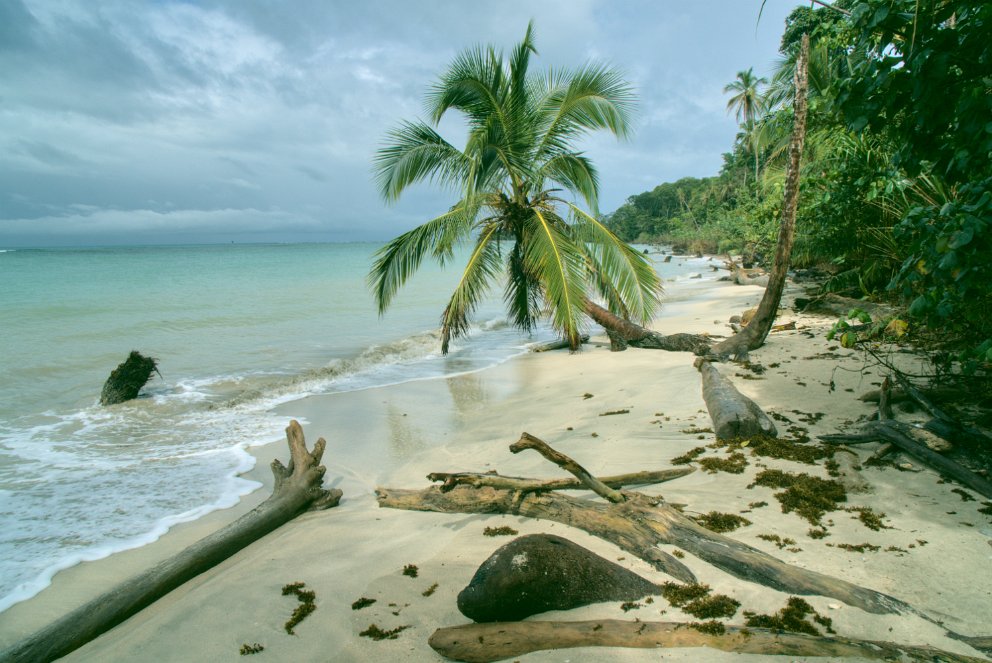 Cahuita National Park