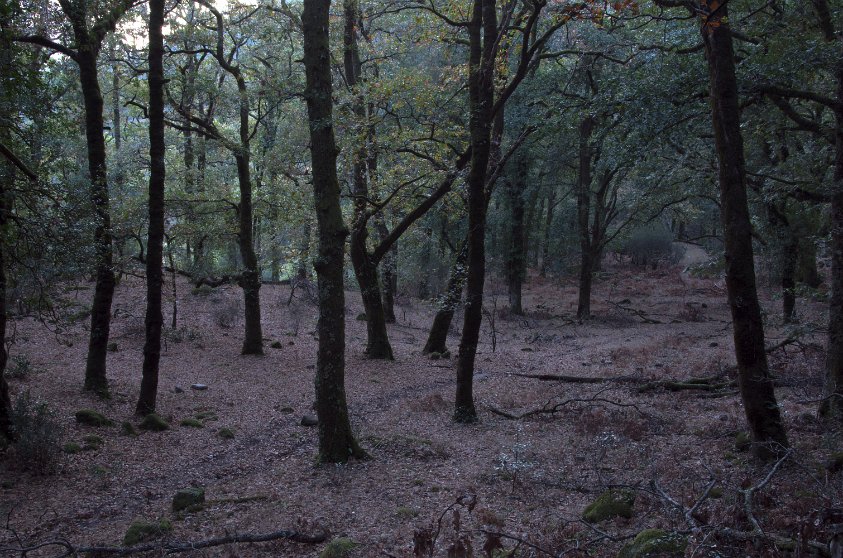 Peneda-Gerês National Park