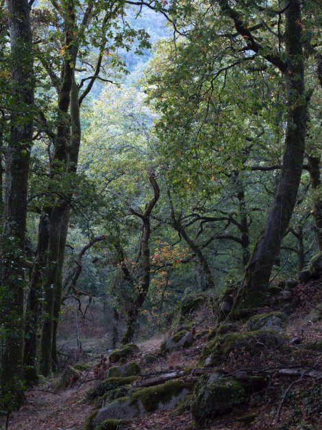 Peneda-Gerês National Park