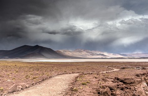 Salar de Aguas Calientes