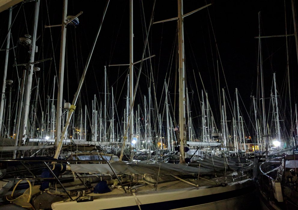 Sea of masts