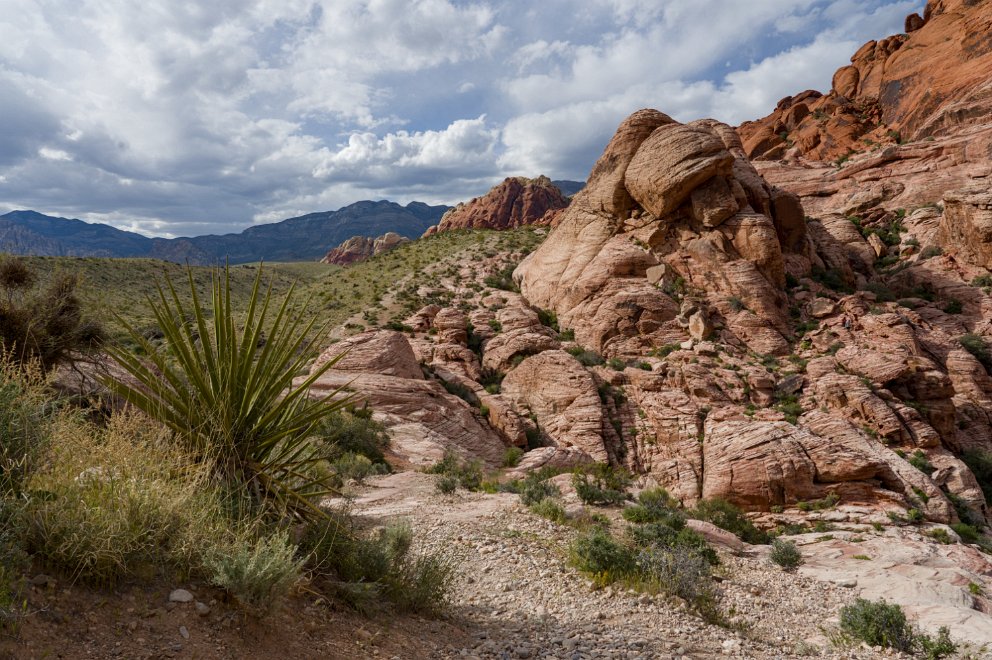 Calico Trail at Red Rock Canyon