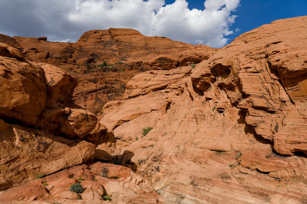 Very Red Rock