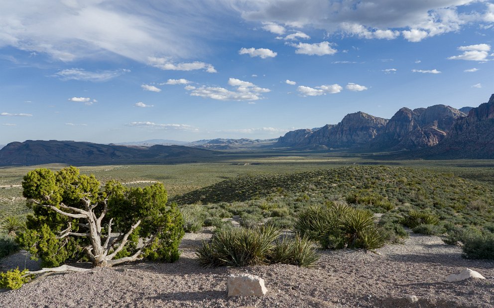 Red Rock Wash Overlook