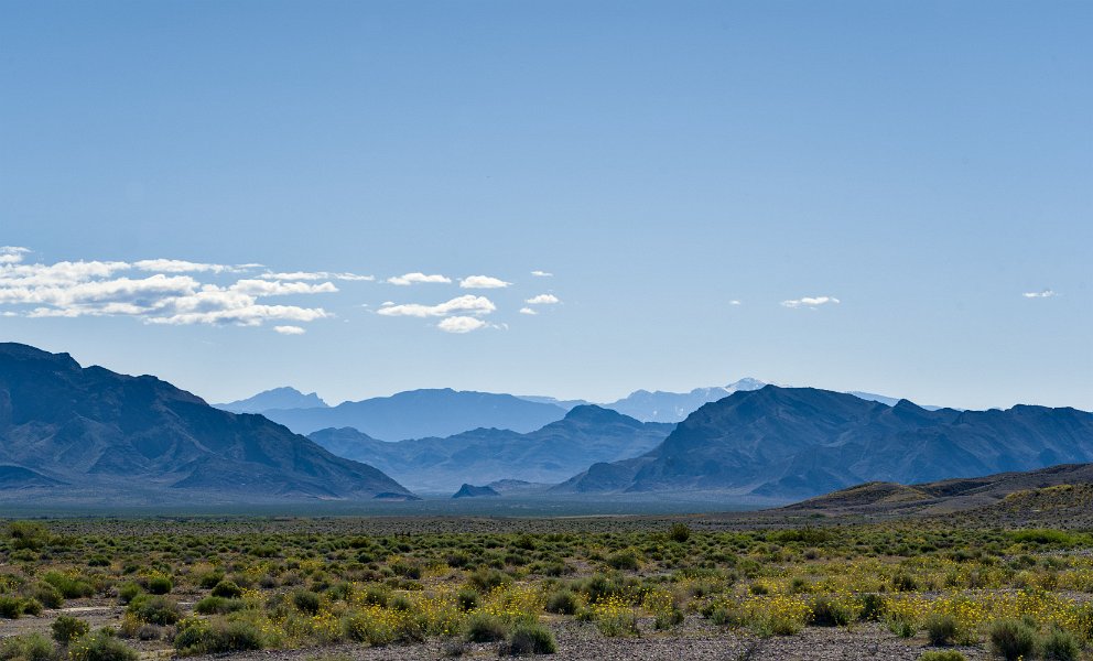 Ash Meadows NWR