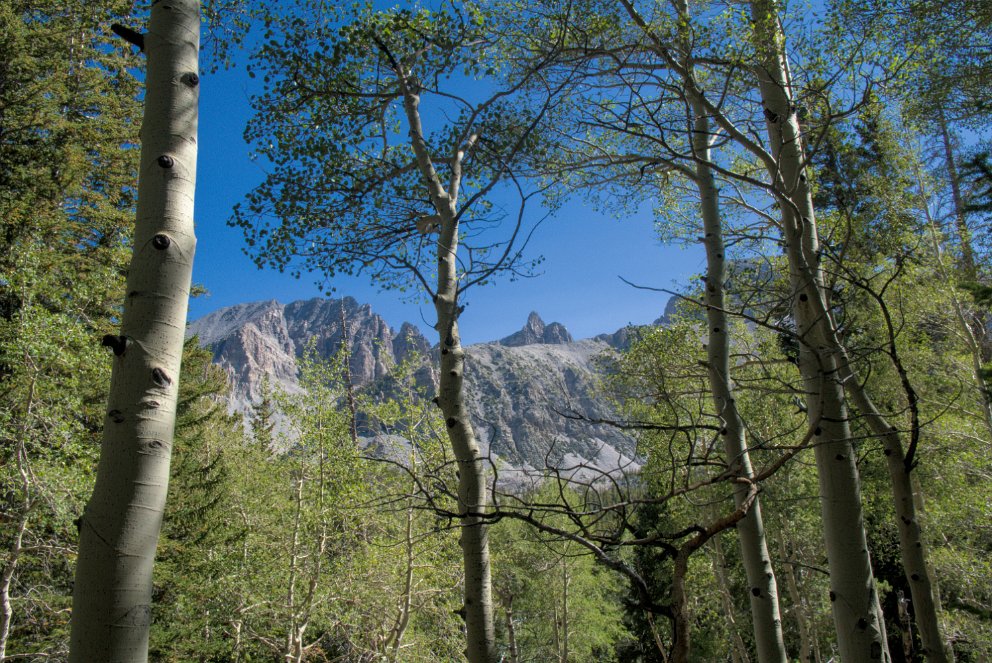 Glacier Trail