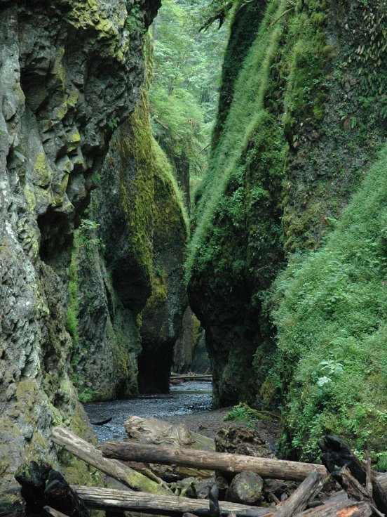 Oneonta Gorge