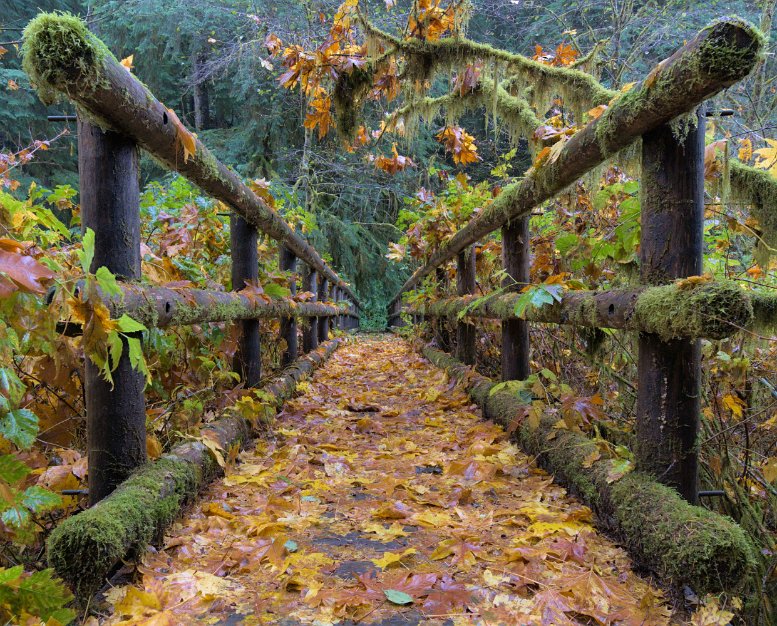 Kentucky Falls Trail