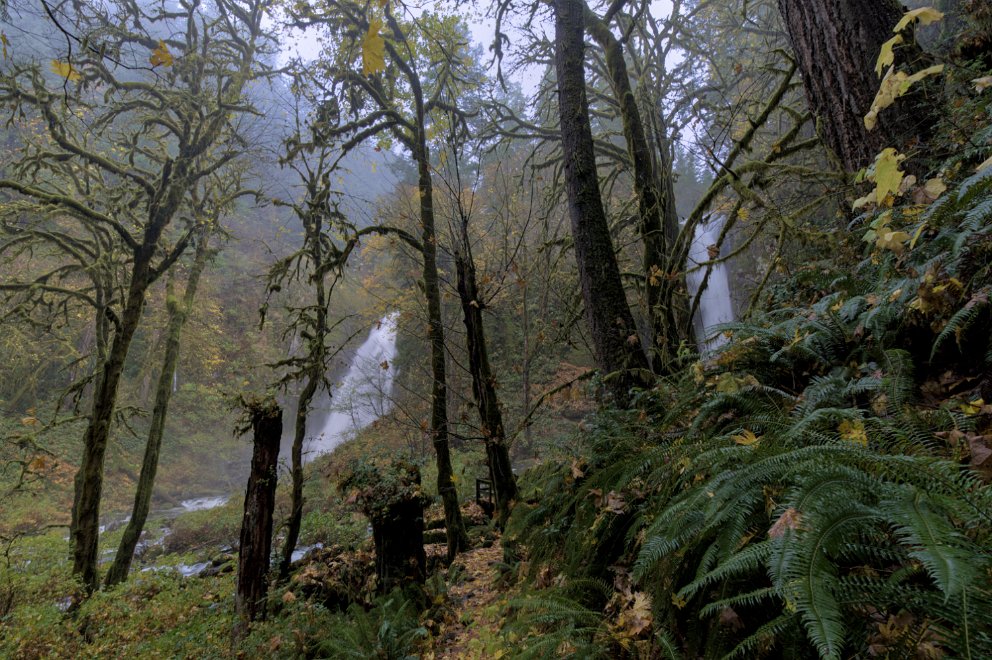 Kentucky Falls