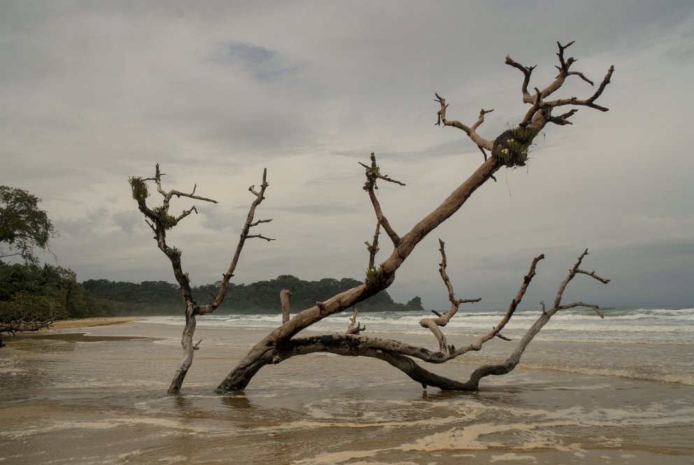 Wizard Beach, Bastimento Island