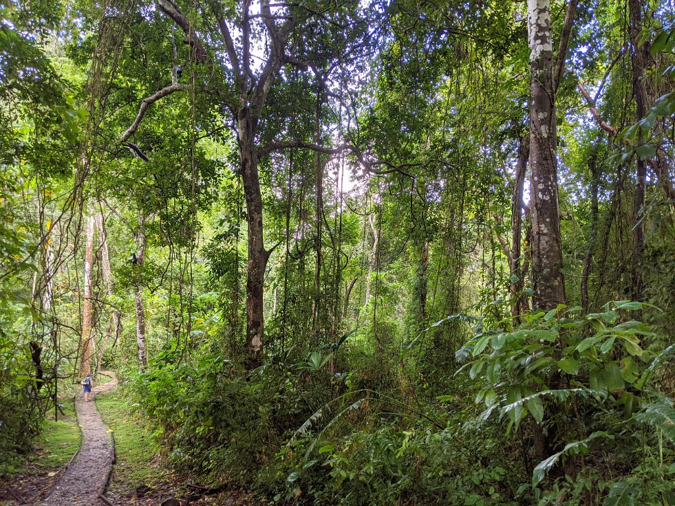 Parque Metropolitano