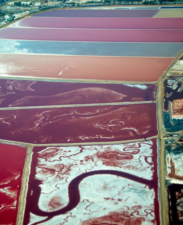 Salt Ponds