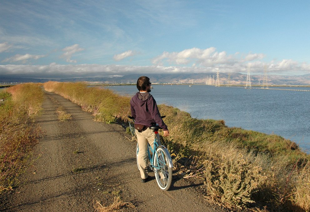 Stevens Creek Trail