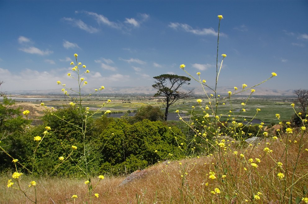 Coyote Hills Regional Park