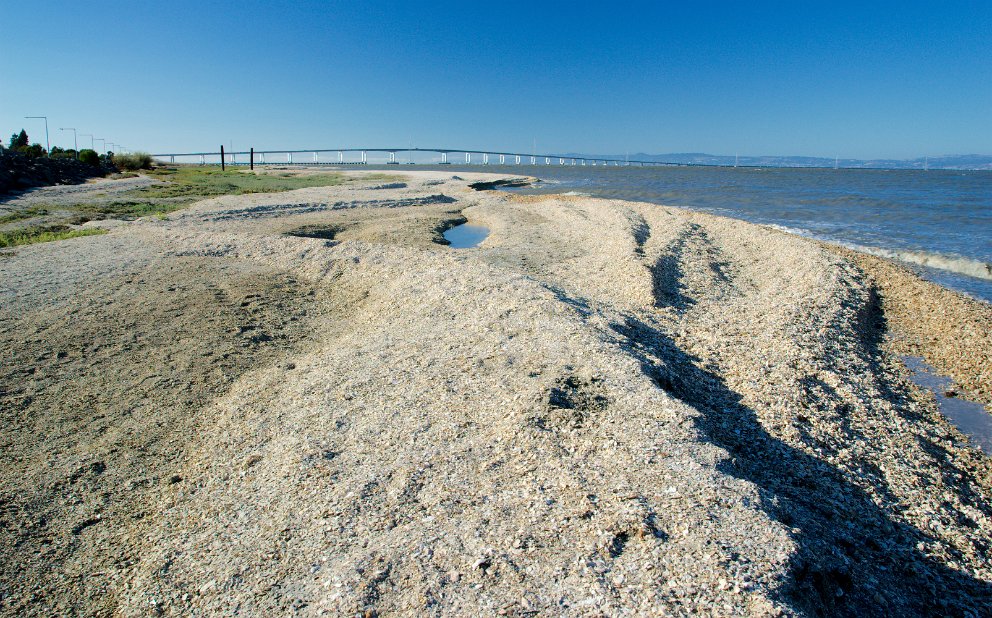 Little Coyote Point Trail