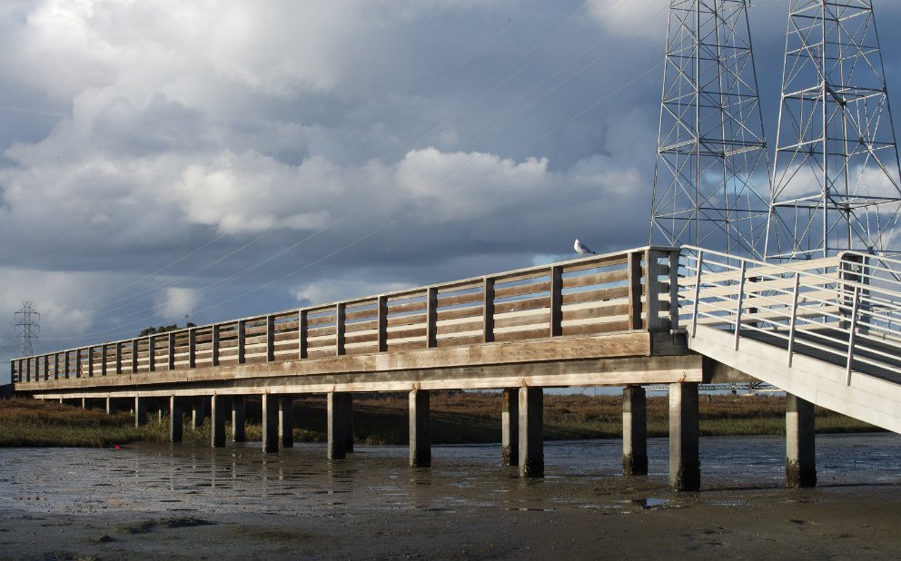 Bridge to sailing dock