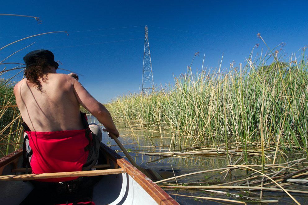 Suisun Slough