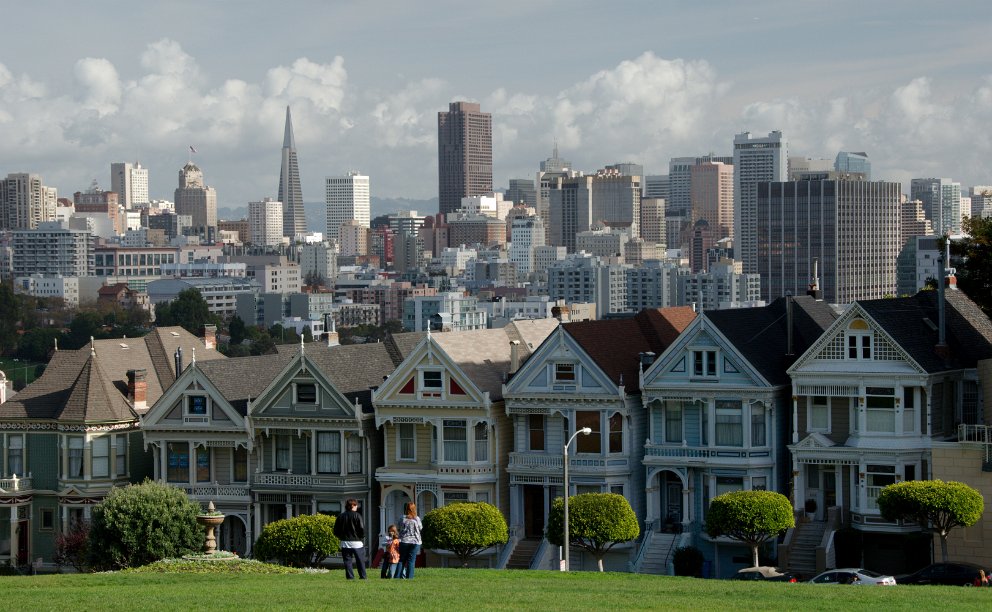 Painted Ladies