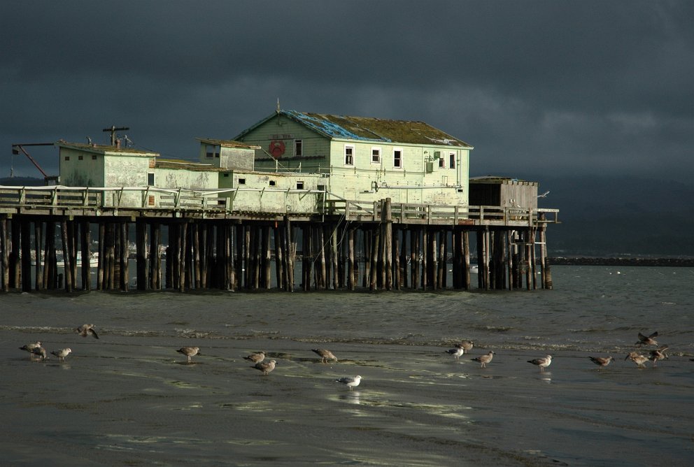 Half Moon Bay