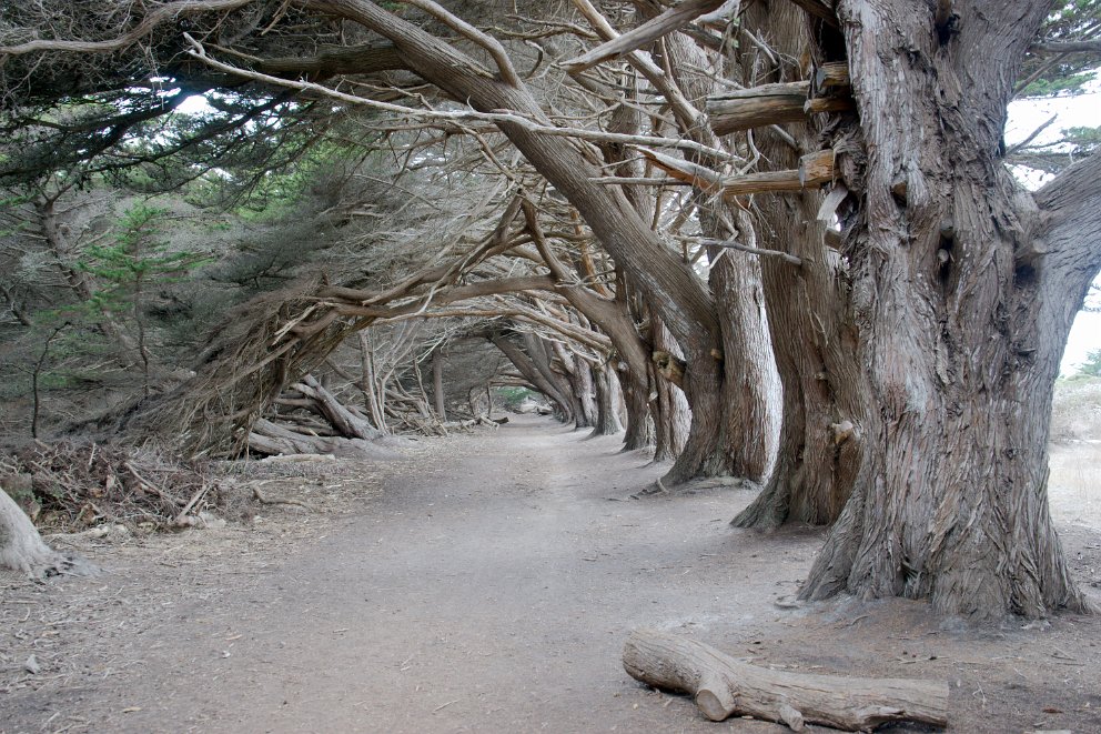 Half Moon Bay Coastal Trail