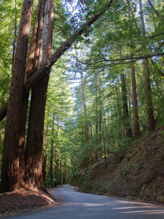 Tunitas Creek Road