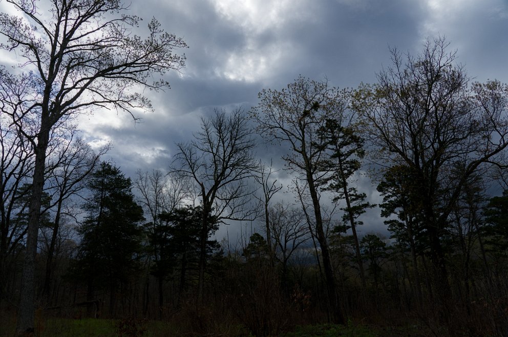 Ozark-St. Francis National Forest