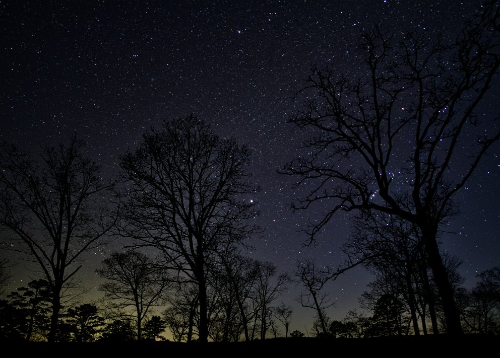 Orion behind the trees, Arkansas