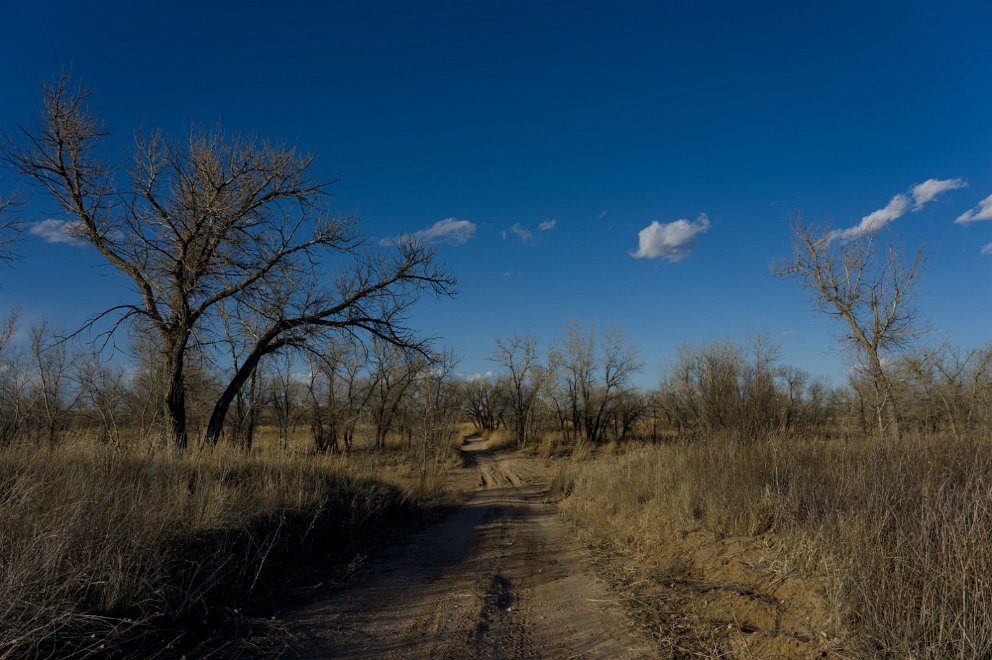 Cimarron National Grassland, Kansas