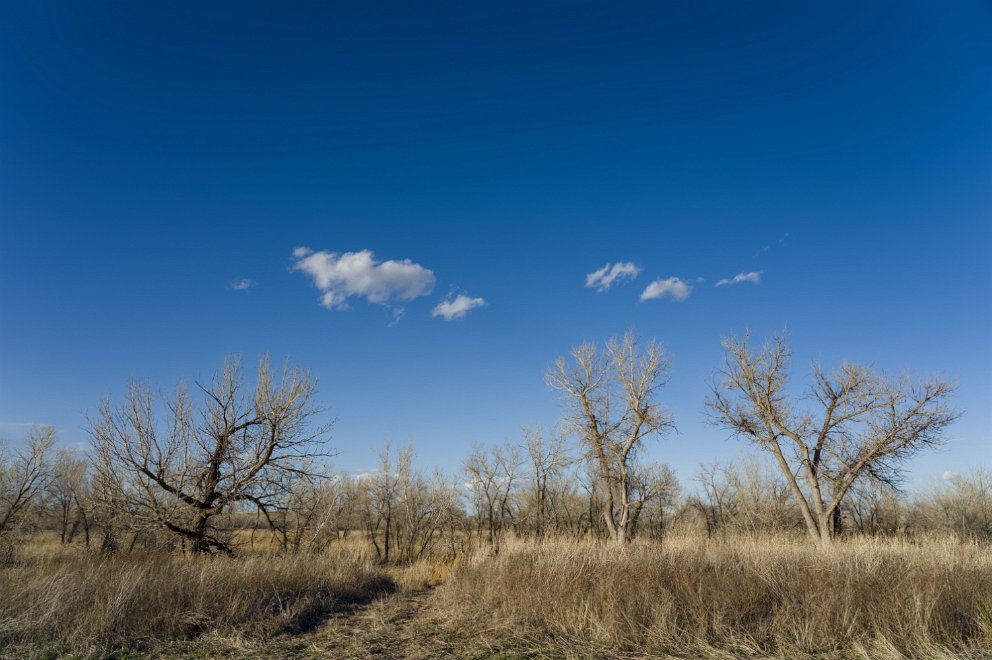 Cimarron National Grassland, Kansas