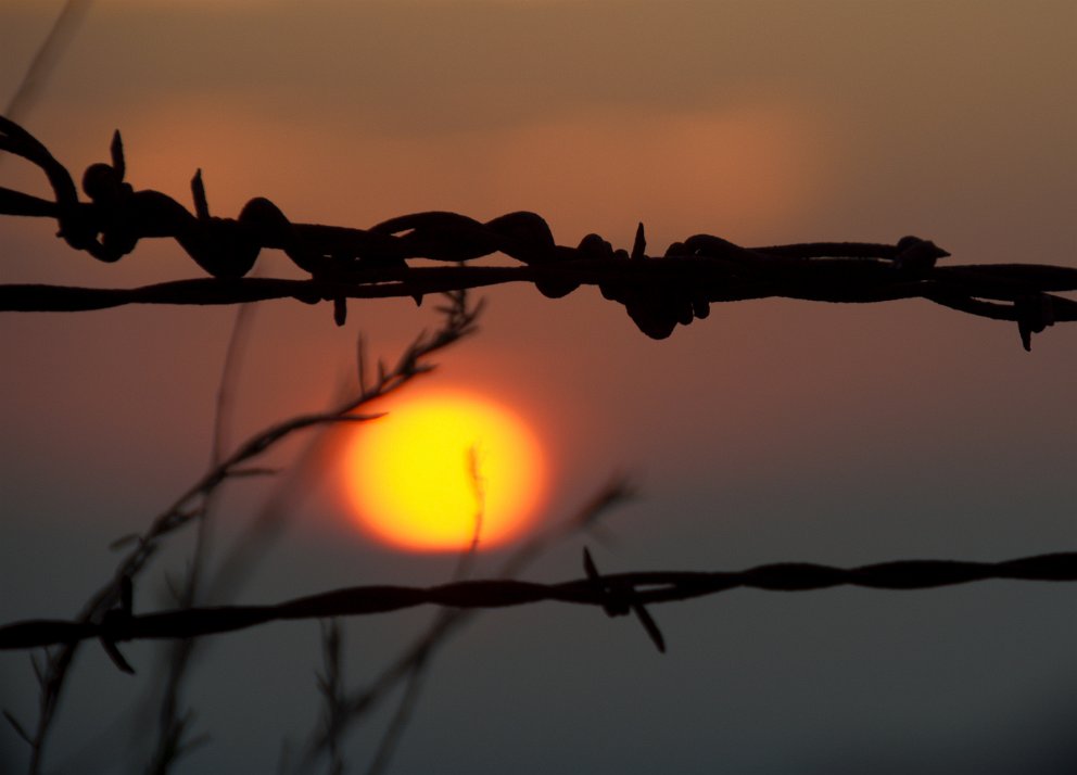 Sunset behind barber wire