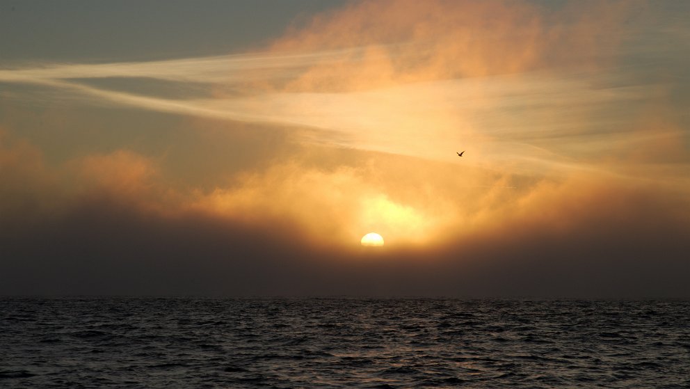 Dawn at Tomales Bay after a long night