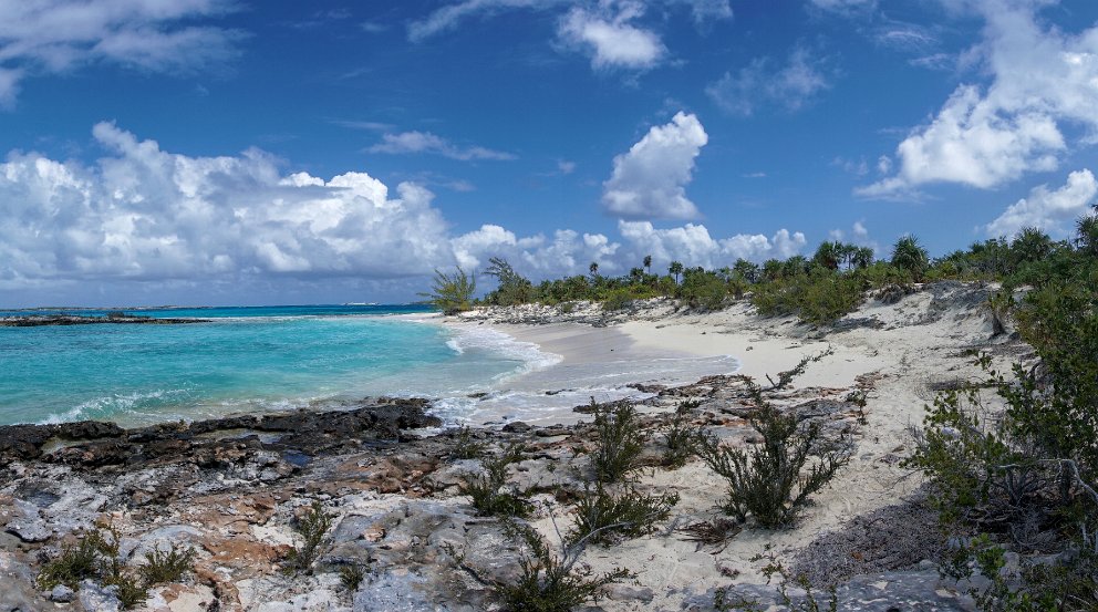 Leaf Cay, Exumas, Bahamas