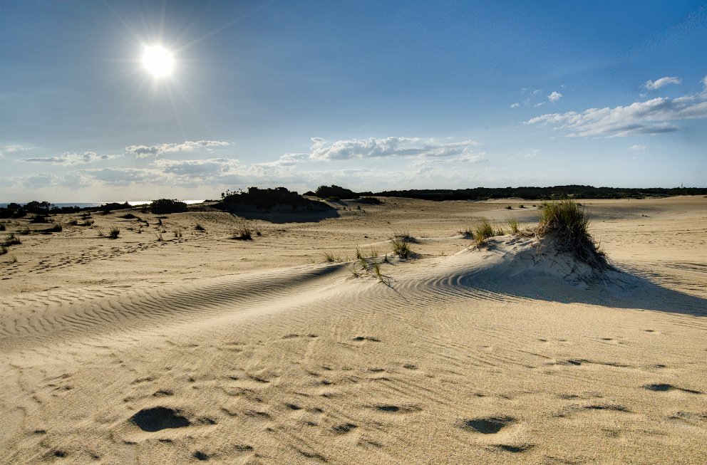 Jockey's Ridge State Park