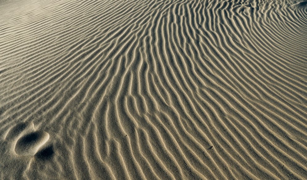 Jockey's Ridge State Park